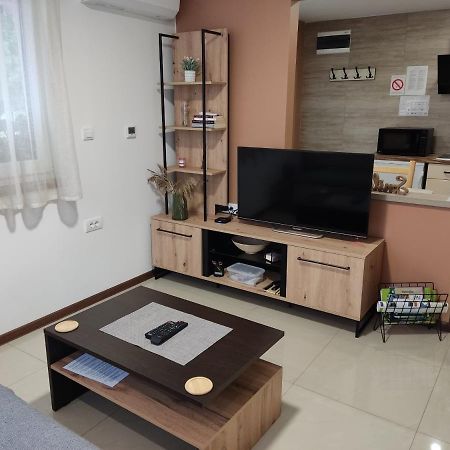 Apartmani Sladjana Novi Sad Bagian luar foto