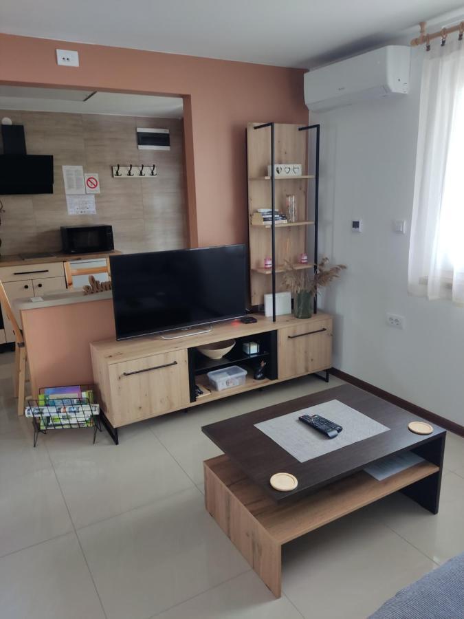 Apartmani Sladjana Novi Sad Bagian luar foto