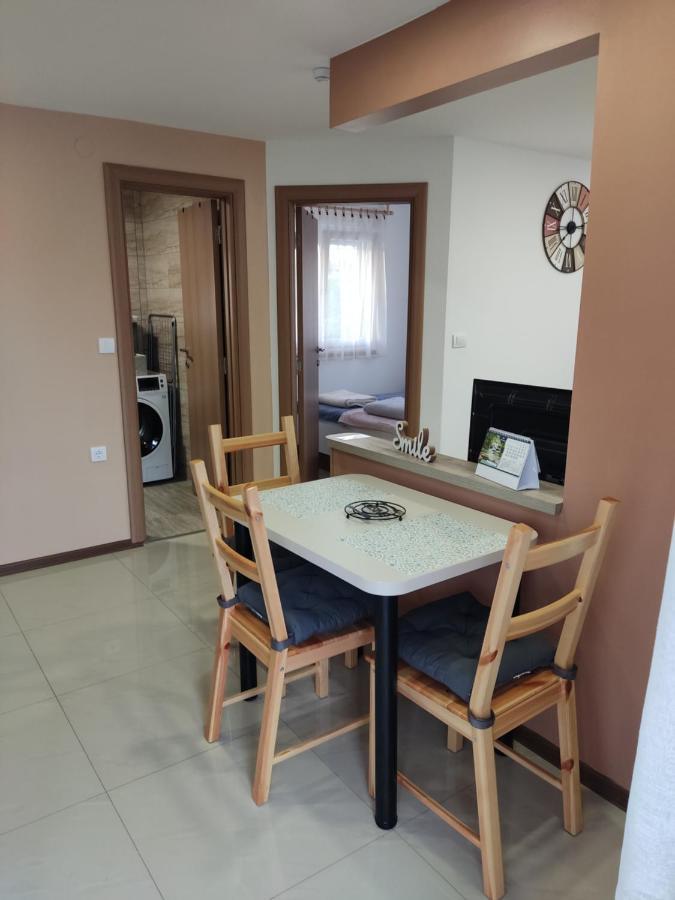 Apartmani Sladjana Novi Sad Bagian luar foto