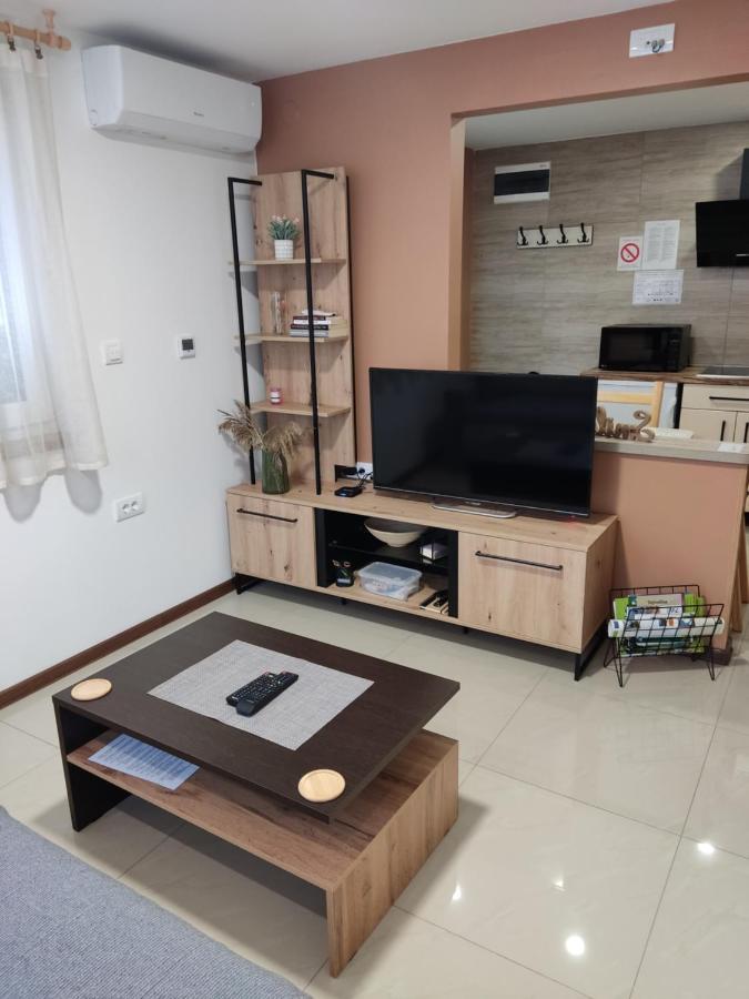 Apartmani Sladjana Novi Sad Bagian luar foto